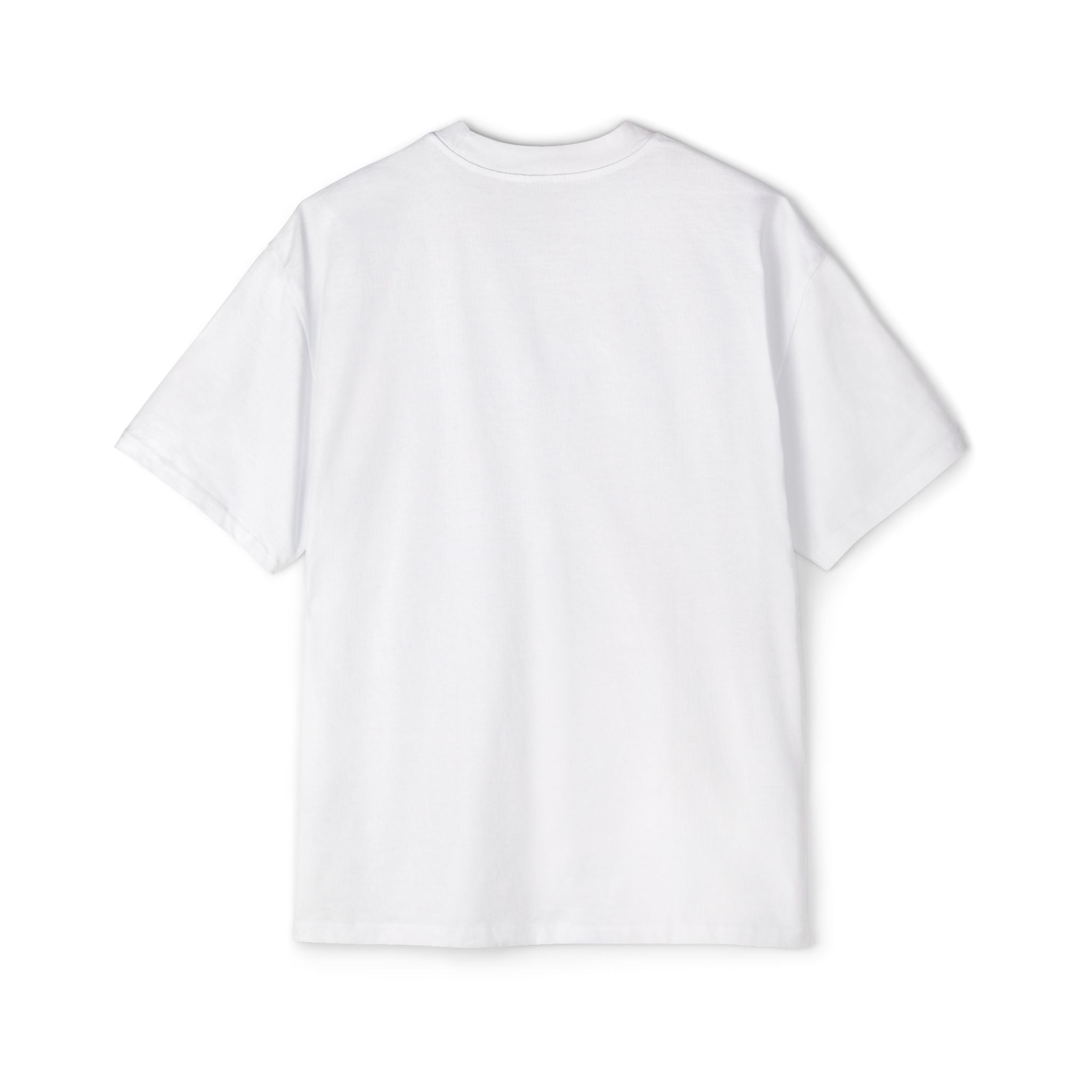PLR t-shirt
